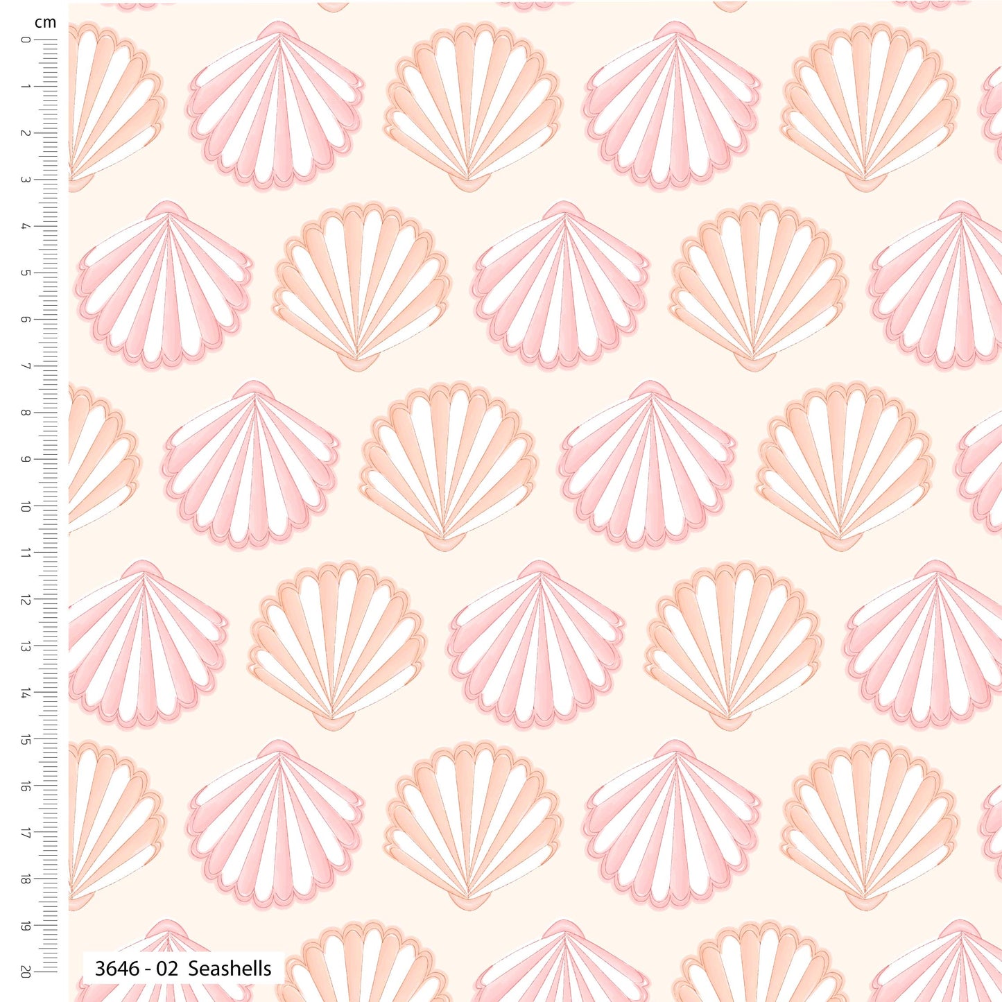Seashells