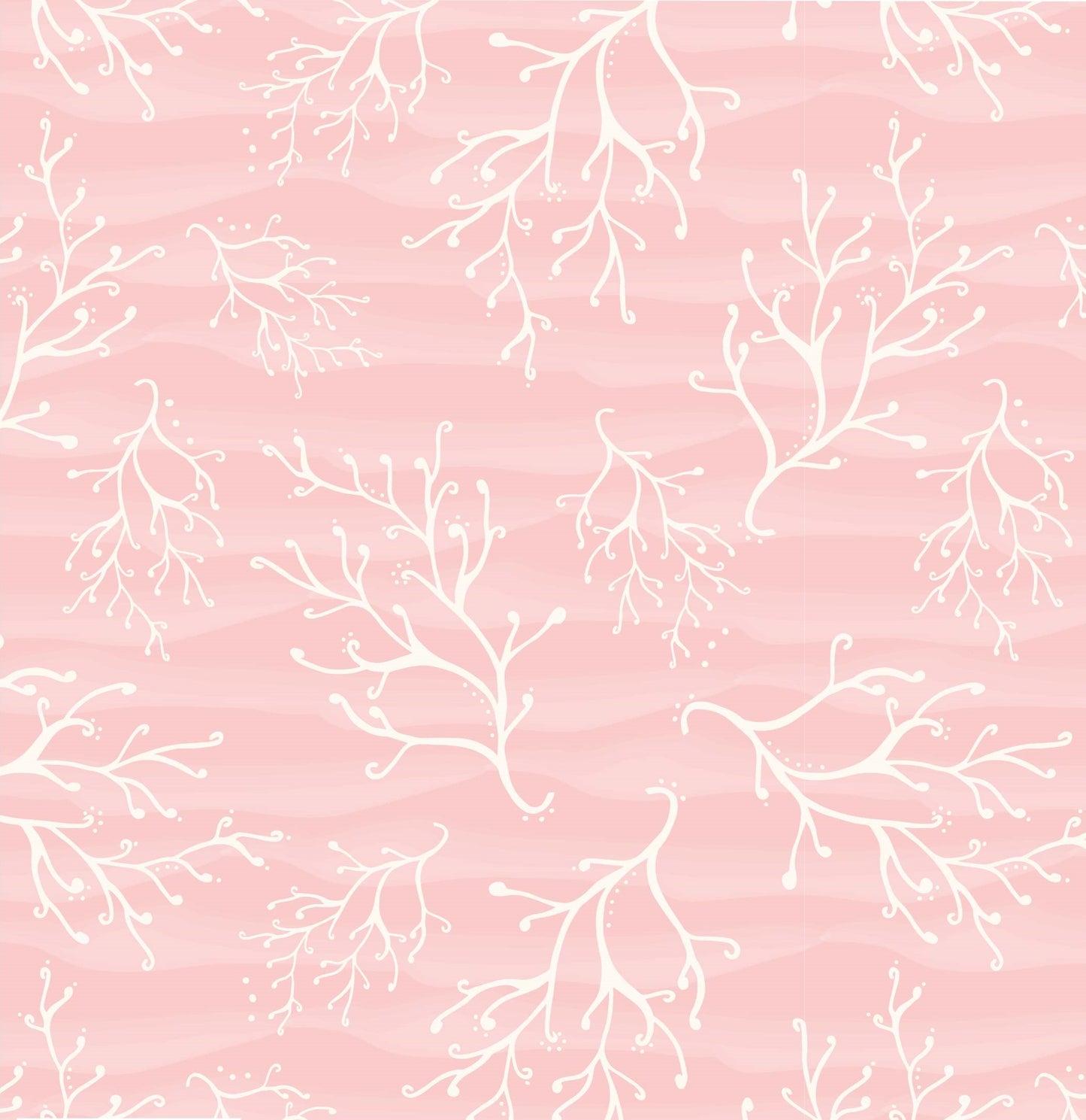 Seaweed
