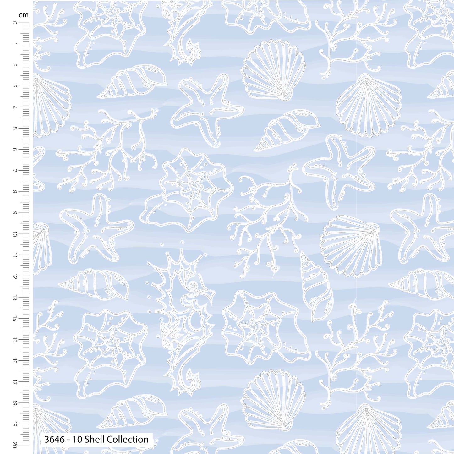 Shell Collection