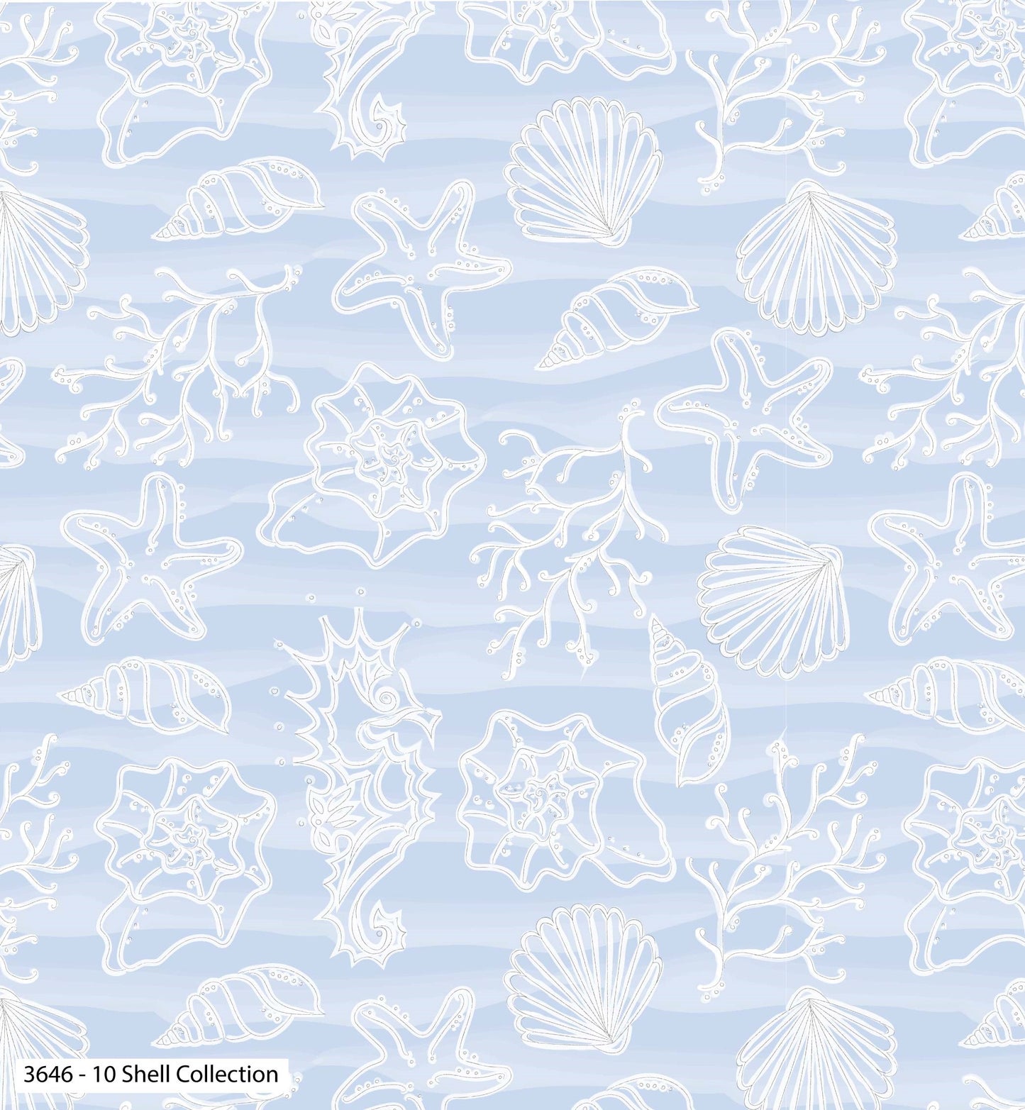 Shell Collection
