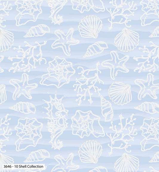 Shell Collection