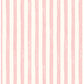 Pink Stripe